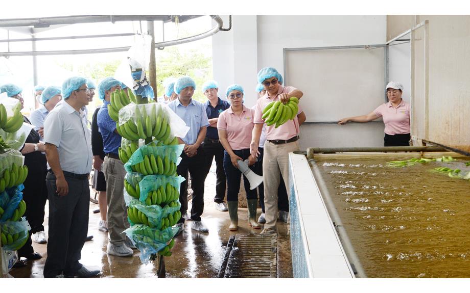 Làm nông nghiệp là yêu nước, Mở lối tương lai bằng mô hình "Trường trong Farm, Farm trong Trường"