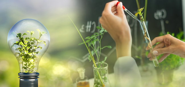 Kỹ thuật môi trường: Học gì để không lo thiếu việc?