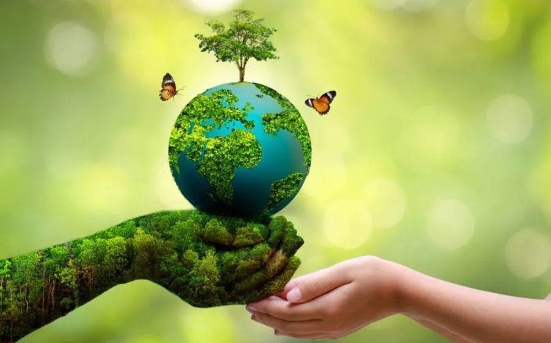 Ngành Quản lý Tài nguyên và Môi trường: Cơ hội nghề nghiệp trong kỷ nguyên kinh tế xanh