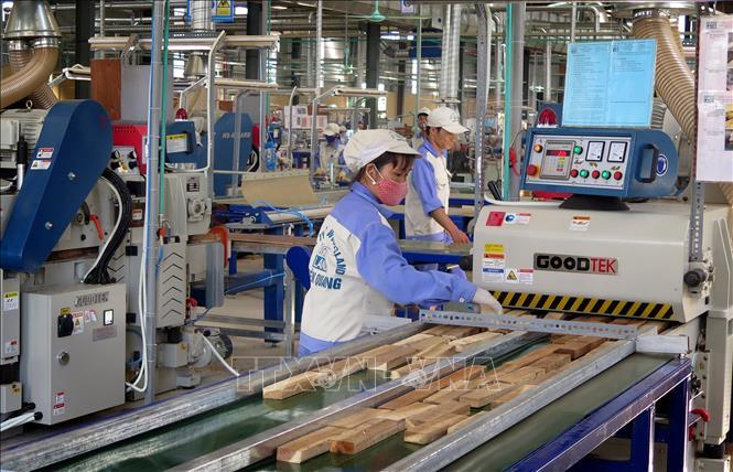 Chọn ngành “hot” hay chọn tương lai bền vững? Góc nhìn từ ngành Công nghệ Chế biến lâm sản