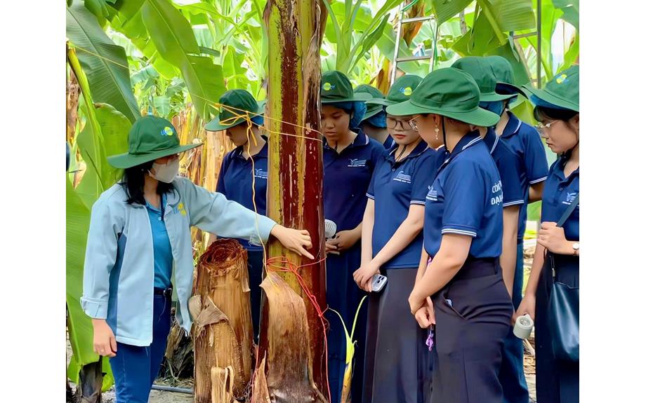 Sinh viên ngành Công nghệ sinh học học tập thực tế tại trang trại nông nghiệp công nghệ cao Unifarm